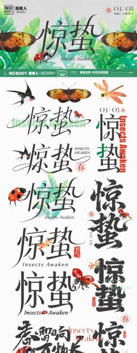 惊蛰节气标题icon