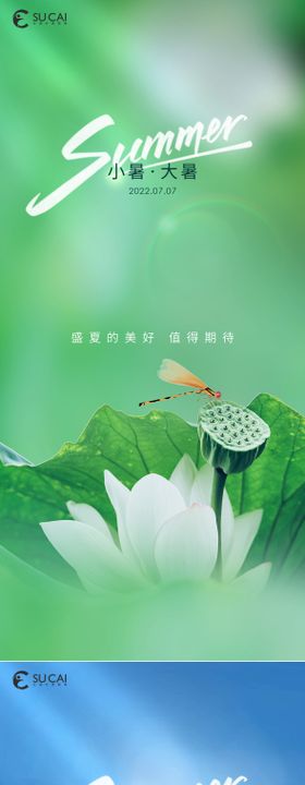 小暑大暑立秋节气海报