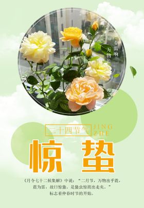 二十四节气图片