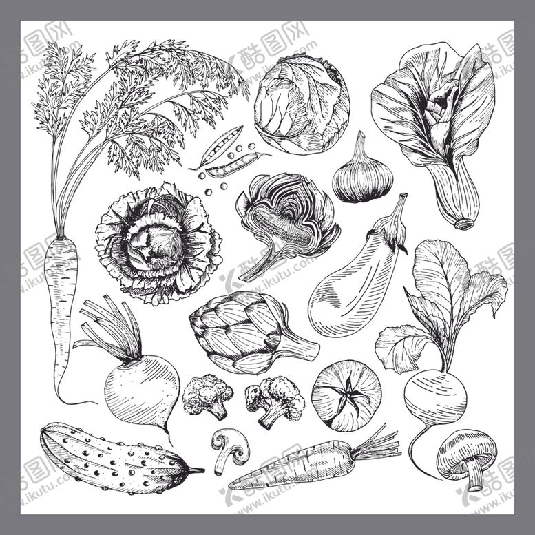 编号：60066709251443568593【酷图网】源文件下载-蔬菜