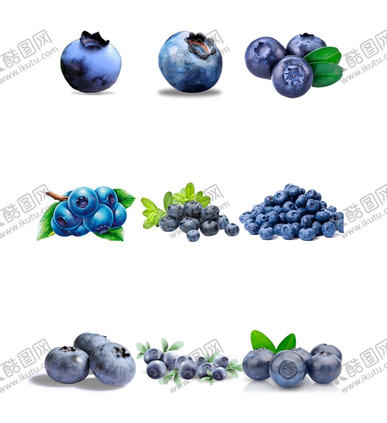 编号：98740510290407007385【酷图网】源文件下载-蓝莓