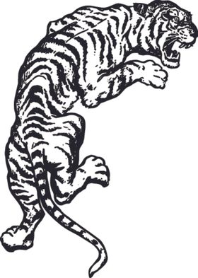 手绘凶猛动物