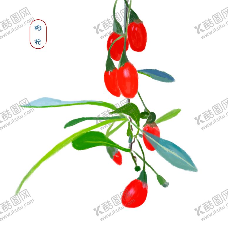 编号：26366610171631249860【酷图网】源文件下载-手绘枸杞