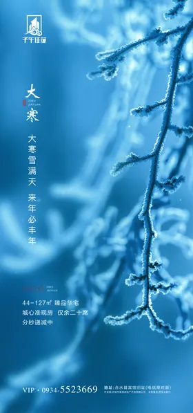 大寒海报