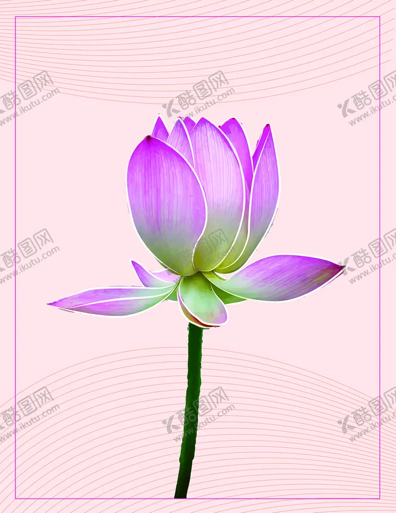 编号：72485109122123165023【酷图网】源文件下载-荷花花手绘