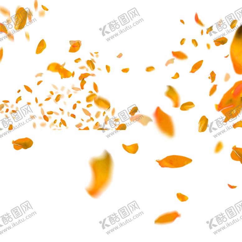 编号：73498607140541181584【酷图网】源文件下载-花素材
