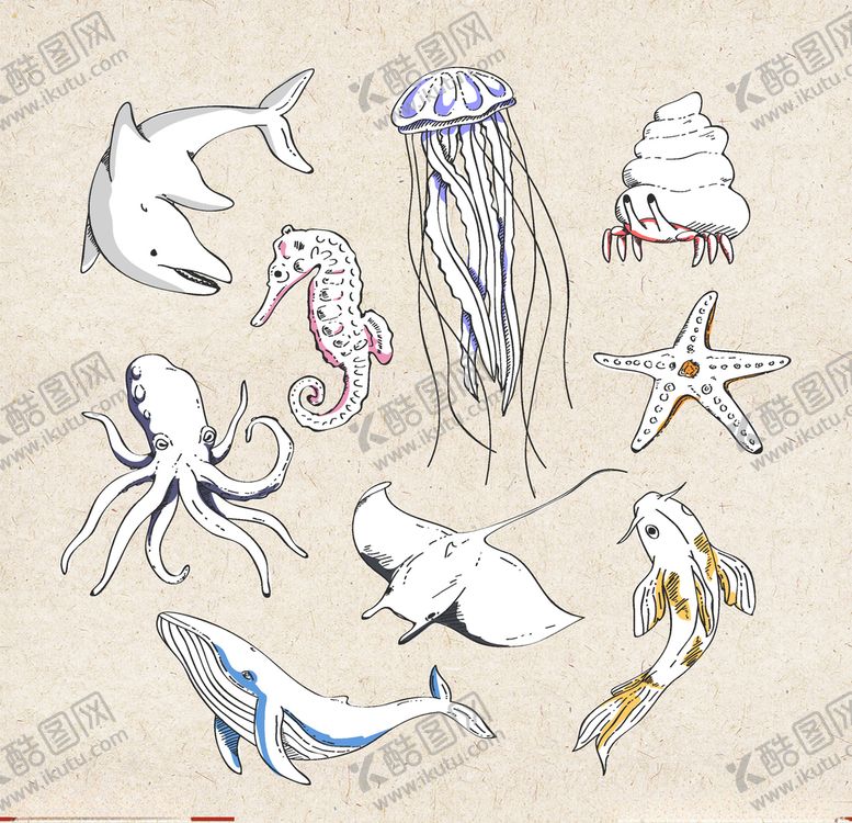 编号：80524010062320346013【酷图网】源文件下载-矢量动物矢量植物插画手绘