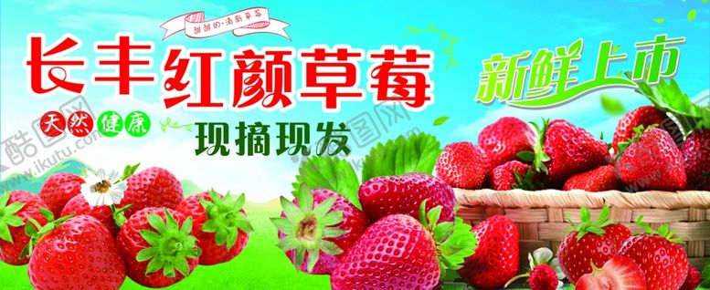 编号：51417612052316319749【酷图网】源文件下载-长丰红颜草莓