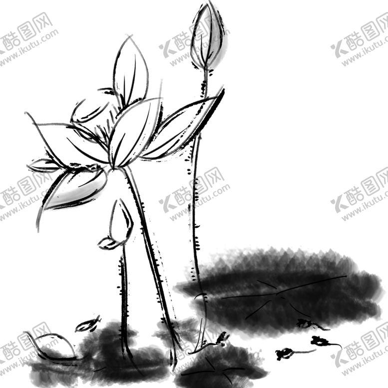 编号：48397801190207206992【酷图网】源文件下载-荷花素材