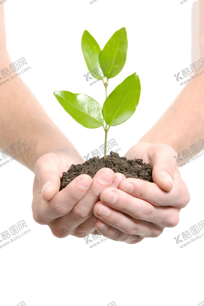 编号：23256106290652458440【酷图网】源文件下载-绿色植物