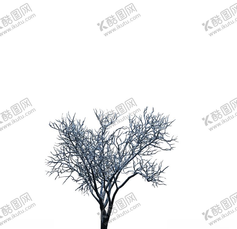 编号：46523909260542559928【酷图网】源文件下载-树木