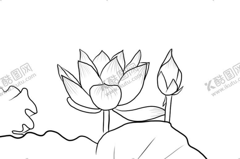 编号：89160809231459038409【酷图网】源文件下载-荷花