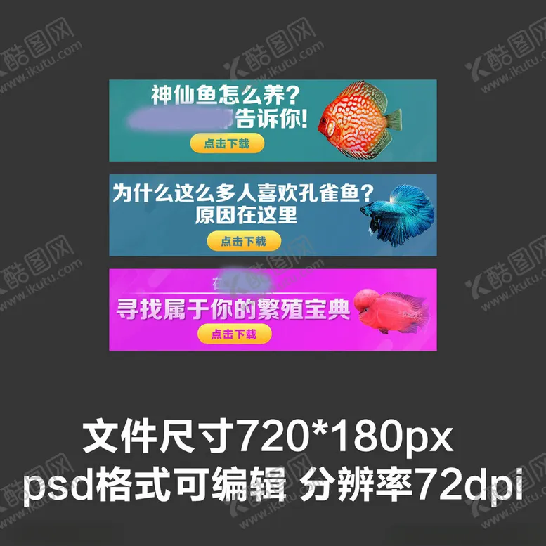 编号：35386203010010553044【酷图网】源文件下载-水族观赏鱼彩色扁平海报轮播