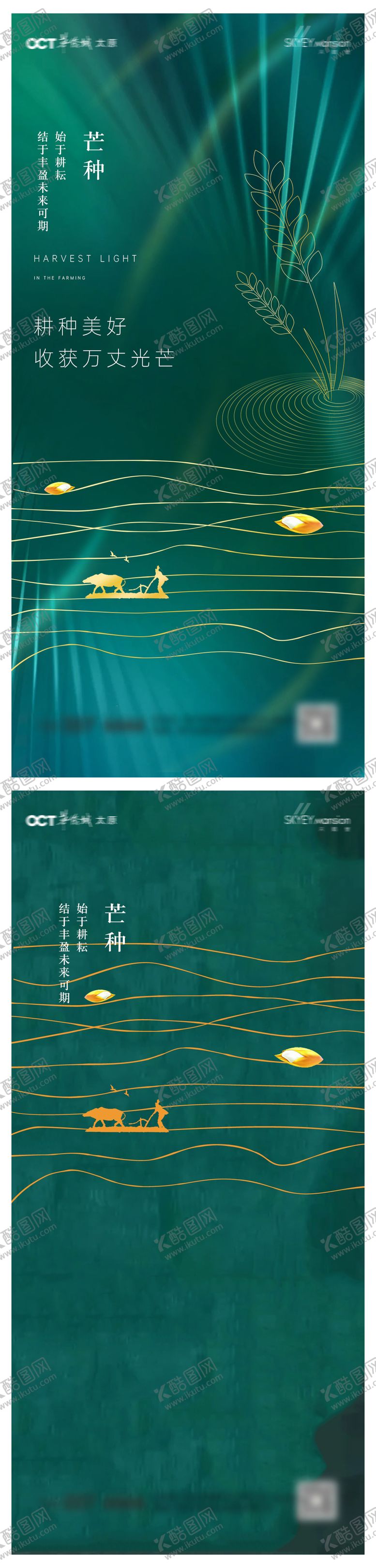 编号：20294906151651039900【酷图网】源文件下载-芒种系列海报