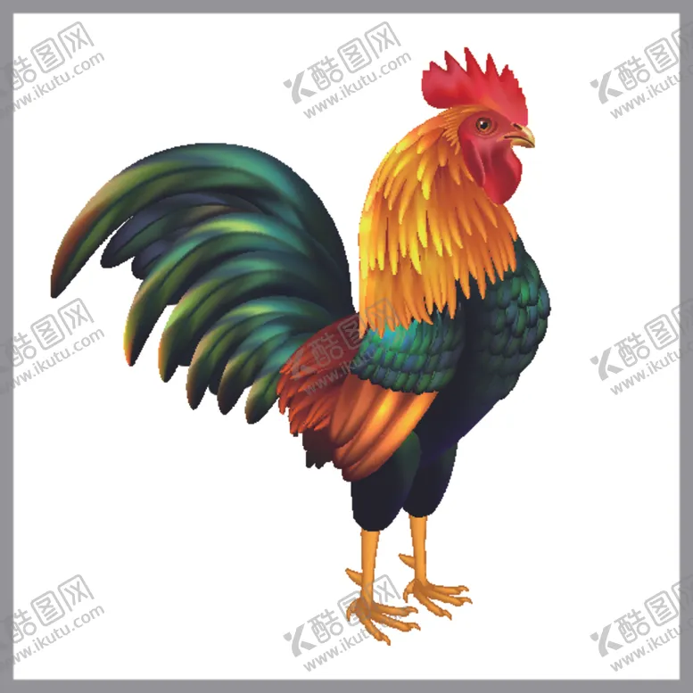 编号：27627504160721574706【酷图网】源文件下载-鸡卡通鸡鸡肉鸡蛋手绘鸡