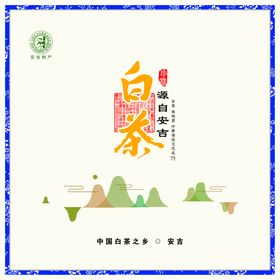 安吉白茶