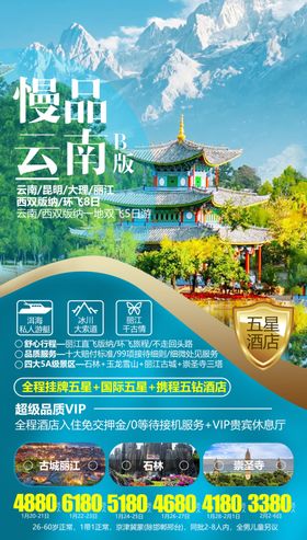 云南菌子火锅海报