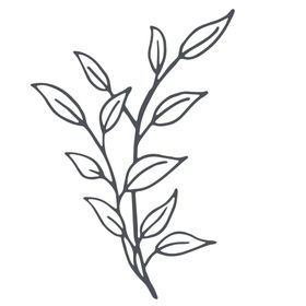 手绘植物