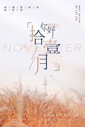 11月你好