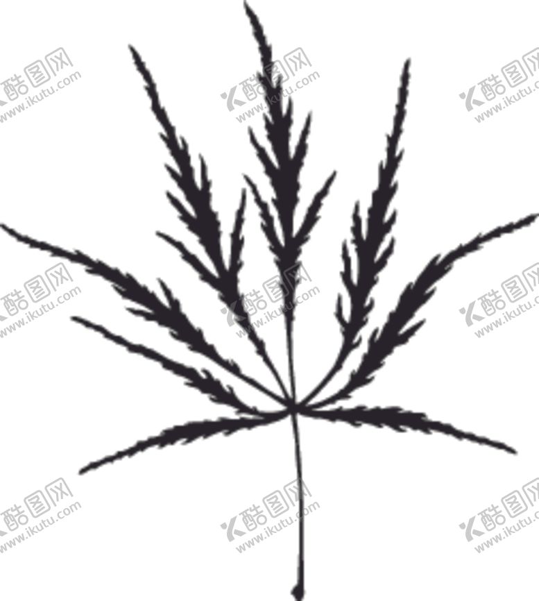 编号：86093410290420292662【酷图网】源文件下载-植物系列树叶