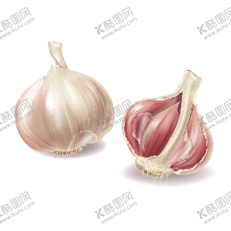 编号：34879004161910537985【酷图网】源文件下载-大蒜蒜头香料调料