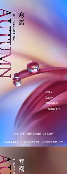 地产寒露节气海报二十四水滴珠