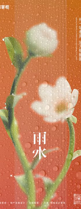 雨水花朵节气海报