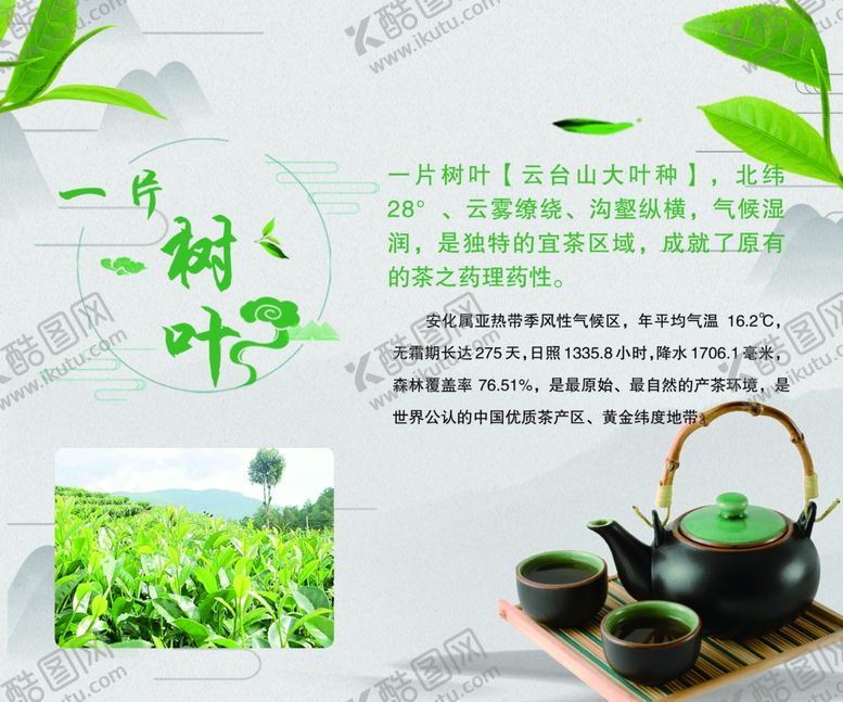 编号：60917209210119245913【酷图网】源文件下载-一片树叶