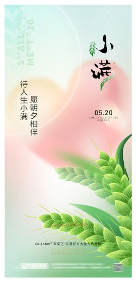 小满节气清新摄影图海报