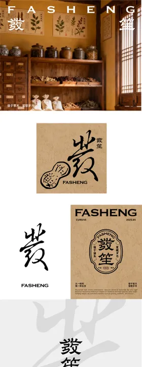 中式药饮茶饮品牌设计全案