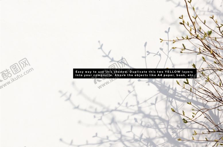 编号：46618110281145171208【酷图网】源文件下载-树影