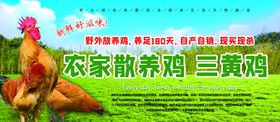 农家养鸡场门头海报设计