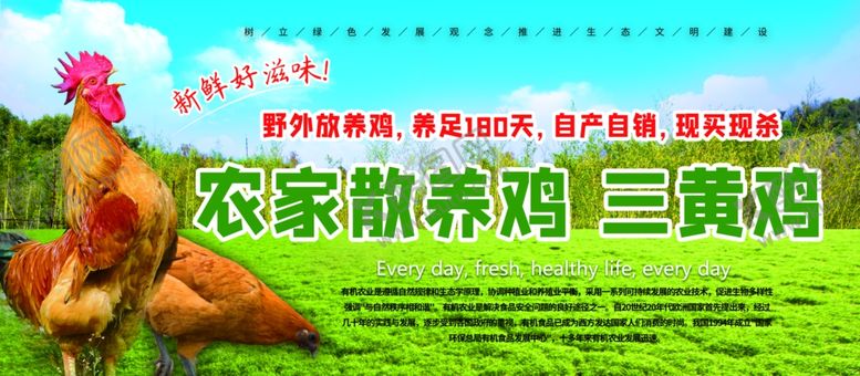 编号：38458410200546166438【酷图网】源文件下载-农家养鸡场门头海报设计