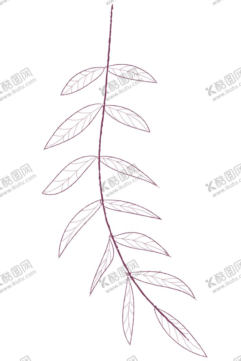 编号：64196709211026072200【酷图网】源文件下载-植物手绘水彩