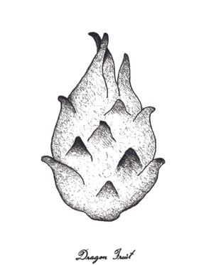 素描水果