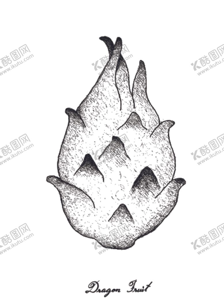 编号：20390509092335096261【酷图网】源文件下载-素描水果