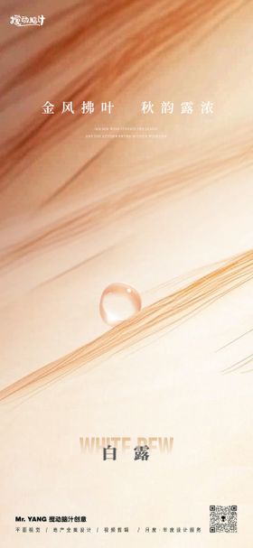 白露节气海报珠秋季地产麦穗