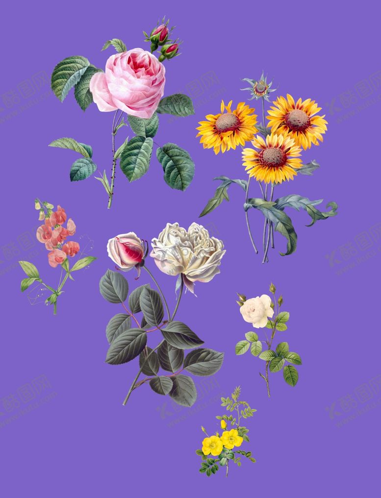 编号：93978709281038358667【酷图网】源文件下载-复古花