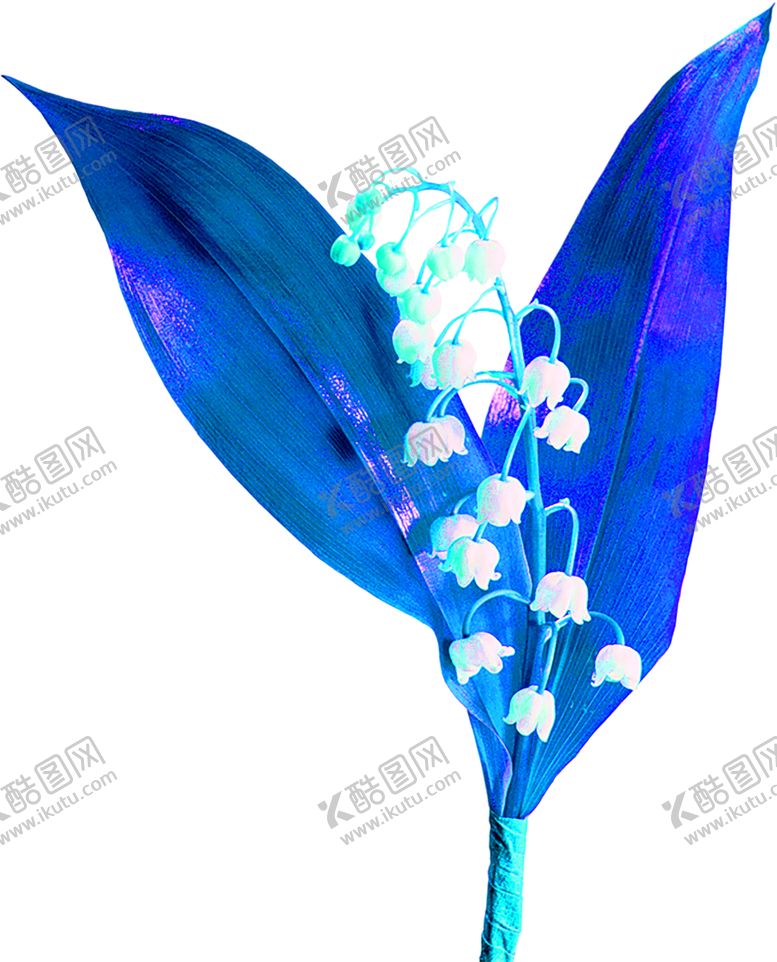 编号：46701306241042373206【酷图网】源文件下载-花素材