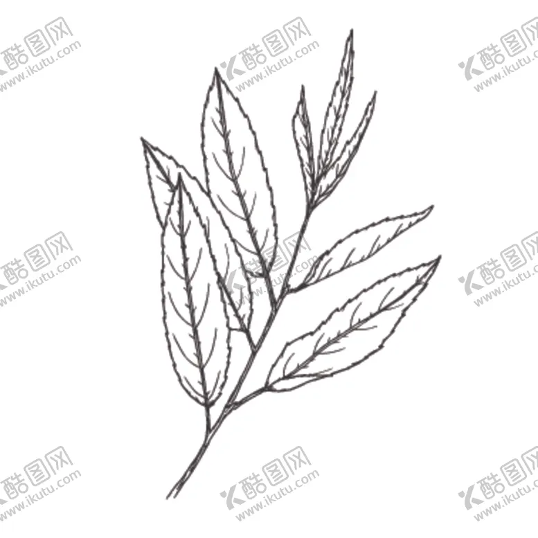 编号：73231009251959183013【酷图网】源文件下载-简笔绘画植物花朵图谱