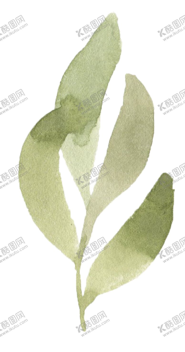 编号：25569305100739054627【酷图网】源文件下载-手绘植物花卉
