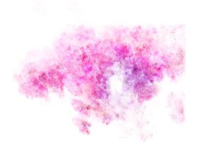 樱花  花瓣 粉色花 小清新