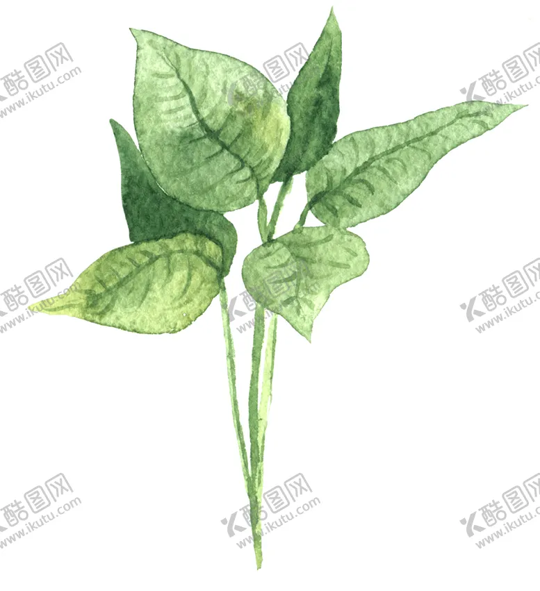 编号：78648006280913382467【酷图网】源文件下载-绿色家庭植物