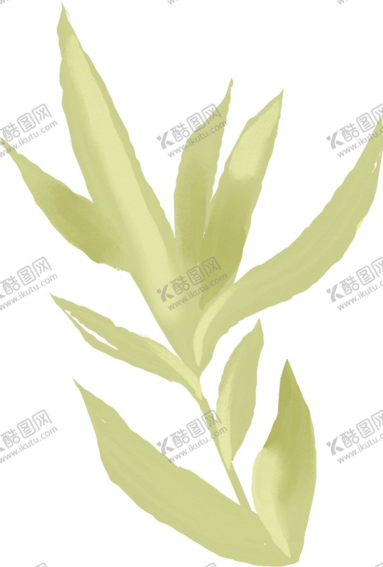 编号：93302510292114502214【酷图网】源文件下载-手绘绿色枝叶