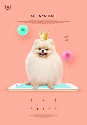 狗狗促销海报设计