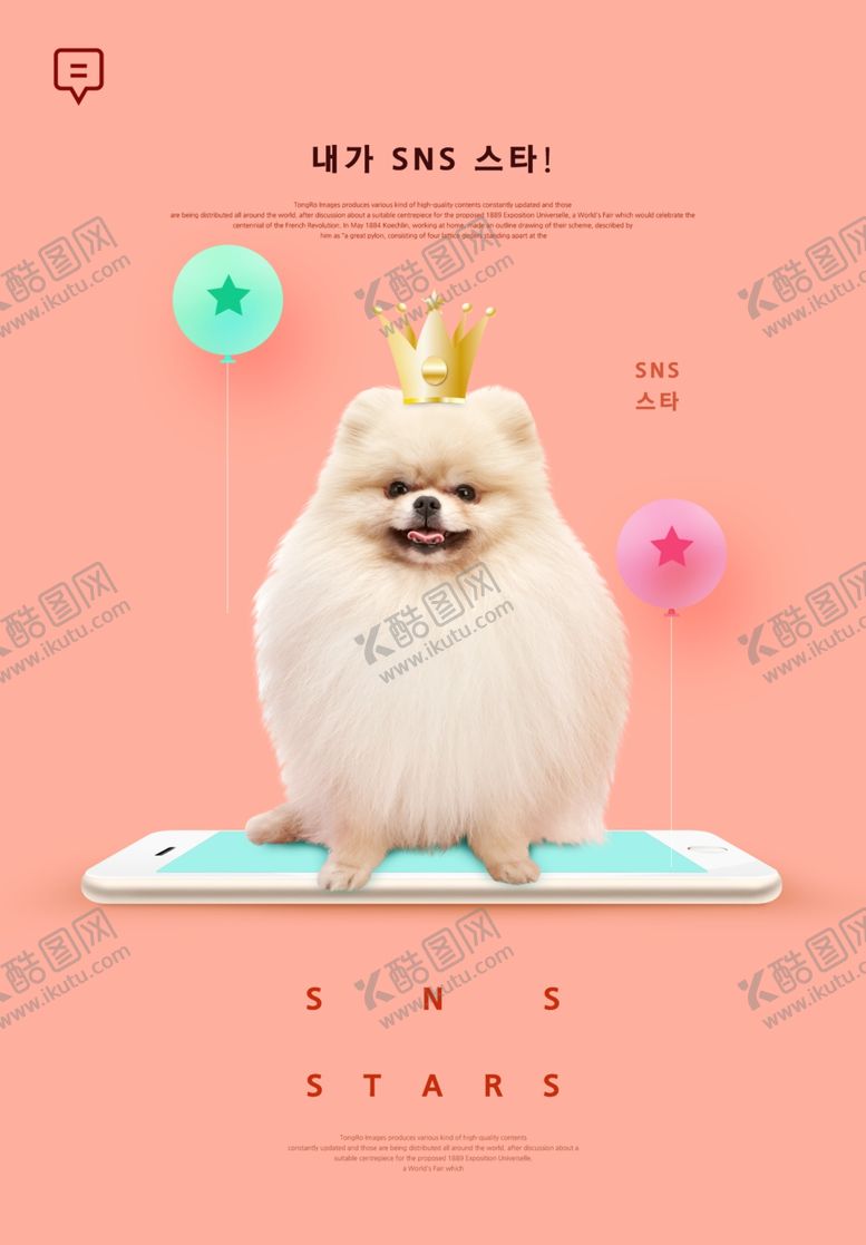 编号：69953107071748578050【酷图网】源文件下载-狗狗促销海报