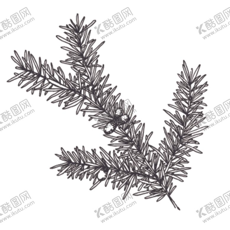编号：65154910221205448784【酷图网】源文件下载-简笔绘画植物花朵图谱