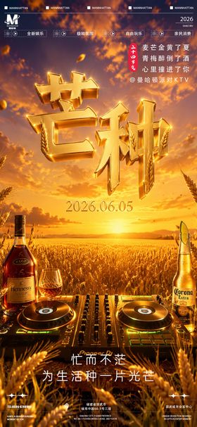 酒吧夜店芒种海报