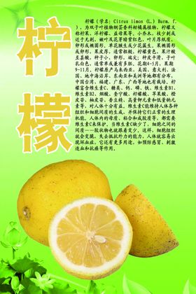 水果文化系列之柠檬