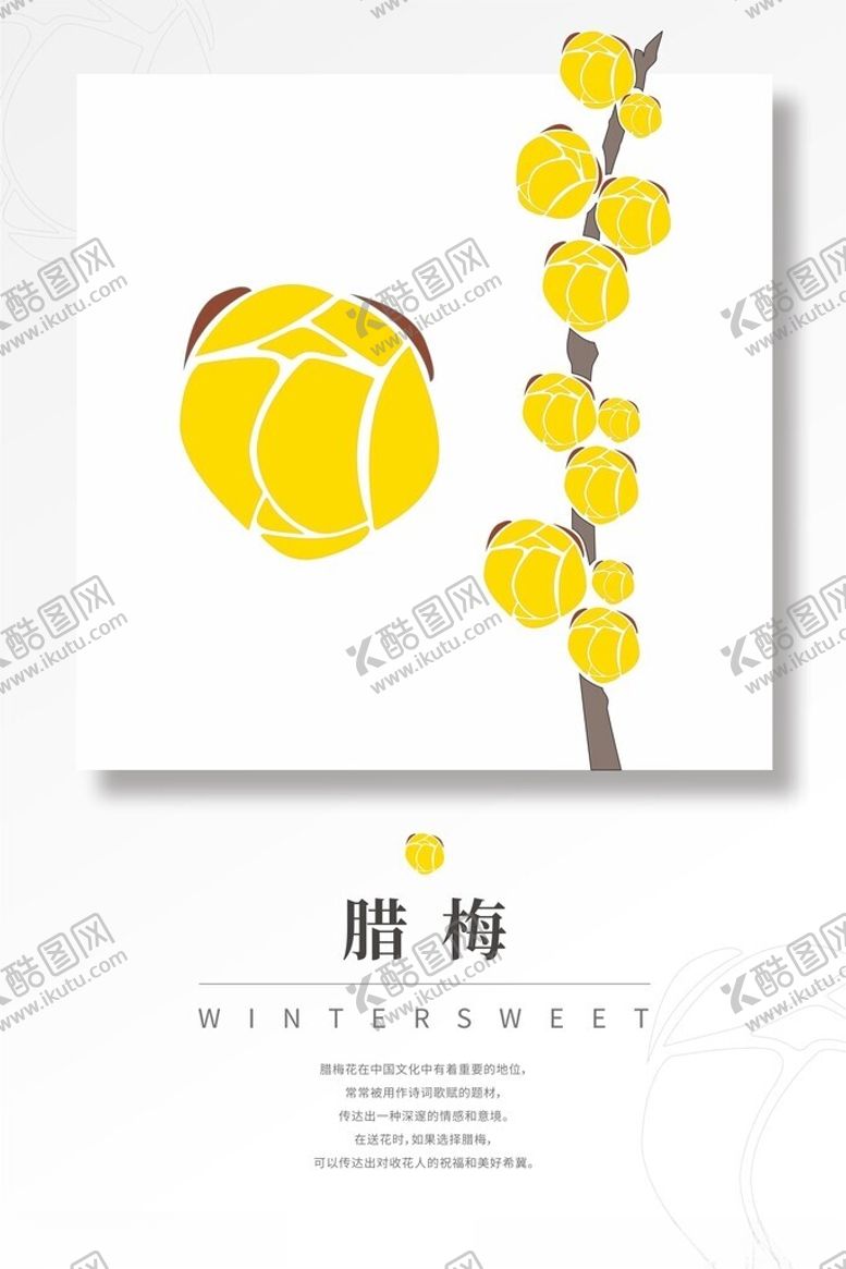 编号：68475702191841238184【酷图网】源文件下载-腊梅